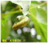 DSCN0887.JPG (56426 個位元組)