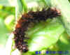 DSCN0970.JPG (59041 個位元組)