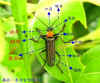 DSCN1195.JPG (80972 個位元組)