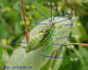 DSCN1295.JPG (88743 個位元組)