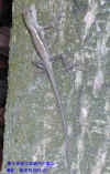 DSCN1318.JPG (127333 個位元組)