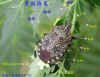 DSCN1648.JPG (98998 個位元組)