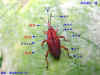 DSCN1805.JPG (101554 個位元組)