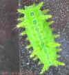 DSCN2192.JPG (84532 個位元組)