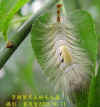 DSCN2340.JPG (70299 個位元組)
