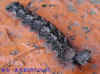 DSCN2562.JPG (77086 個位元組)