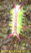 DSCN2886.JPG (65648 個位元組)