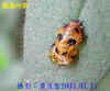 DSCN3022.JPG (55601 個位元組)