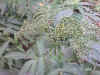 DSCN00032.jpg (75411 個位元組)
