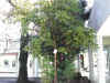 DSCN0177.JPG (139865 個位元組)