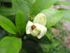 DSCN1574.JPG (77668 個位元組)