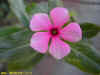 DSCN5274.JPG (82031 個位元組)