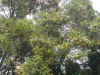 DSCN1300.JPG (156497 個位元組)